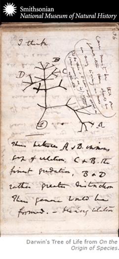 Icon #2 Darwin s Tree of Life On the Origin of Species (1859) Darwin s Tree of Life alleges that organisms slowly (over billions of years) changed to become new species.
