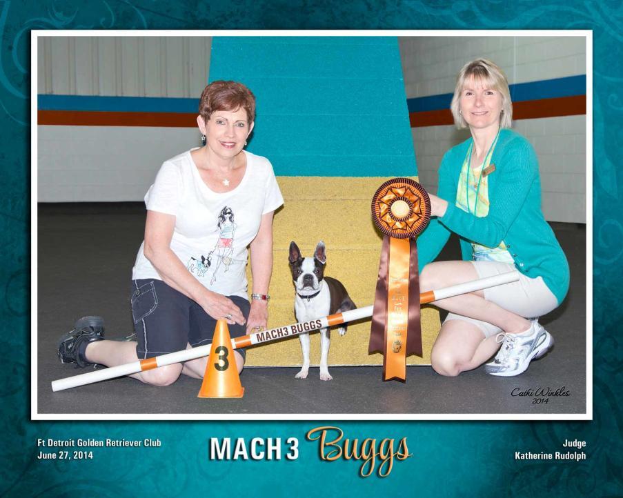 in AKC so qualified to go