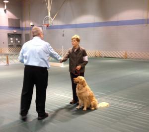 OBEDIENCE EXHIBITORS AT THEIR BEST WHY I LOVE THIS SPORT! http://www.dogtrainersworkshop.