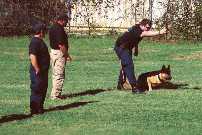 An example of this would be the use of preparatory commands during K-9 operations.