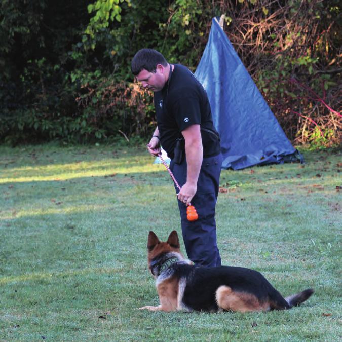 If you truly plan on utilizing off leash search tactics during your deployments, then hand signals are a must. You will use them during direction and control, heel commands, down commands and so on.