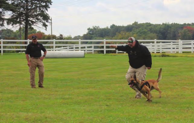 During heel movements I have handlers pat their sides and with a flat hand, down their canines into position.