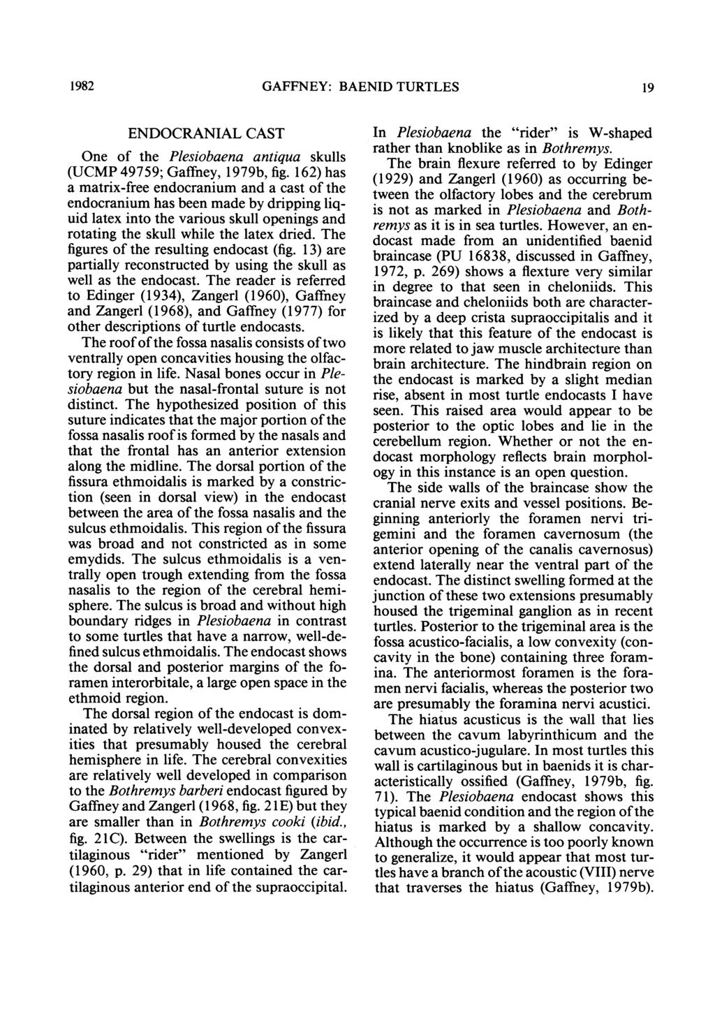 1982 GAFFNEY: BAENID TURTLES 19 ENDOCRANIAL CAST One of the Plesiobaena antiqua skulls (UCMP 49759; Gaffney, 1979b, fig.