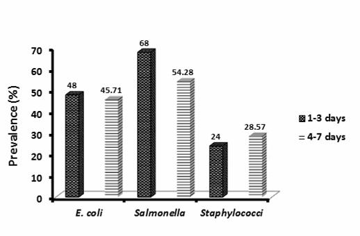 Nasrin et al. 65 Prevalence of bacteria The prevalence of bacteria associated with omphalitis in chicks is presented in Fig. 1. Fig. 1. Prevalence of E.