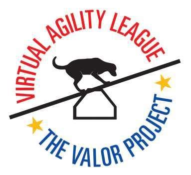The Virtual Agility League Guidelines for