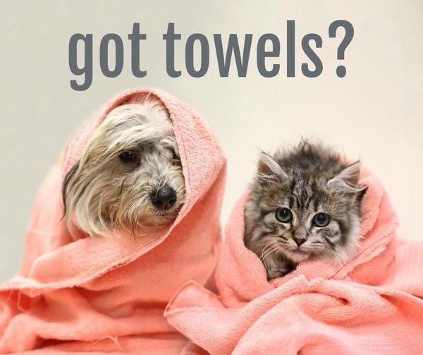 We Need Towels!