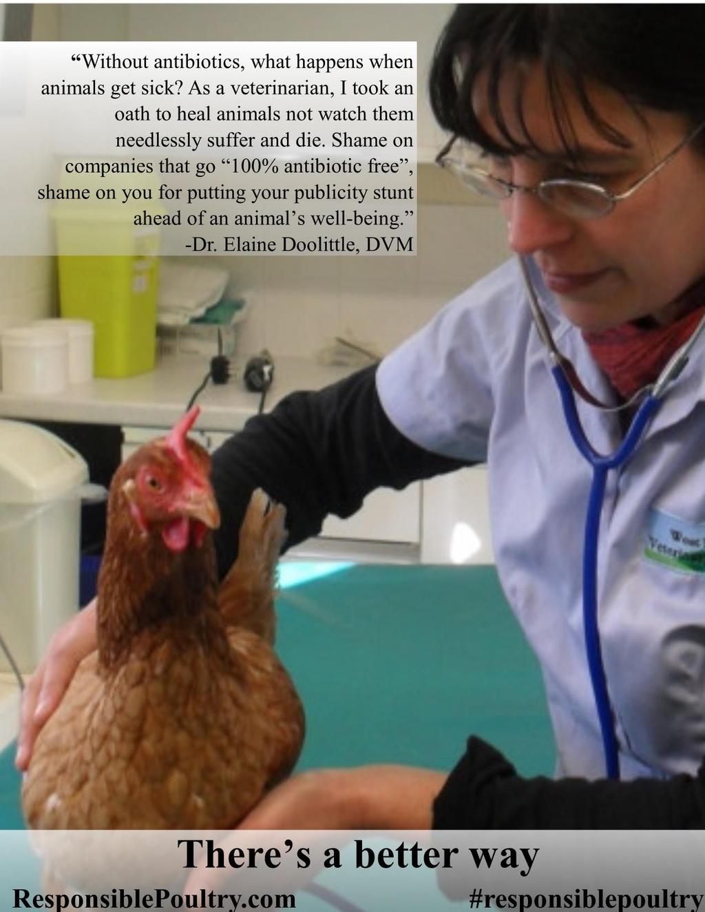 5 Tenets of Vet Approved Antibiotic Use: 1. We demand our clients do everything reasonable to keep birds from getting sick in the first place. 2. Only sick animals get antibiotics.