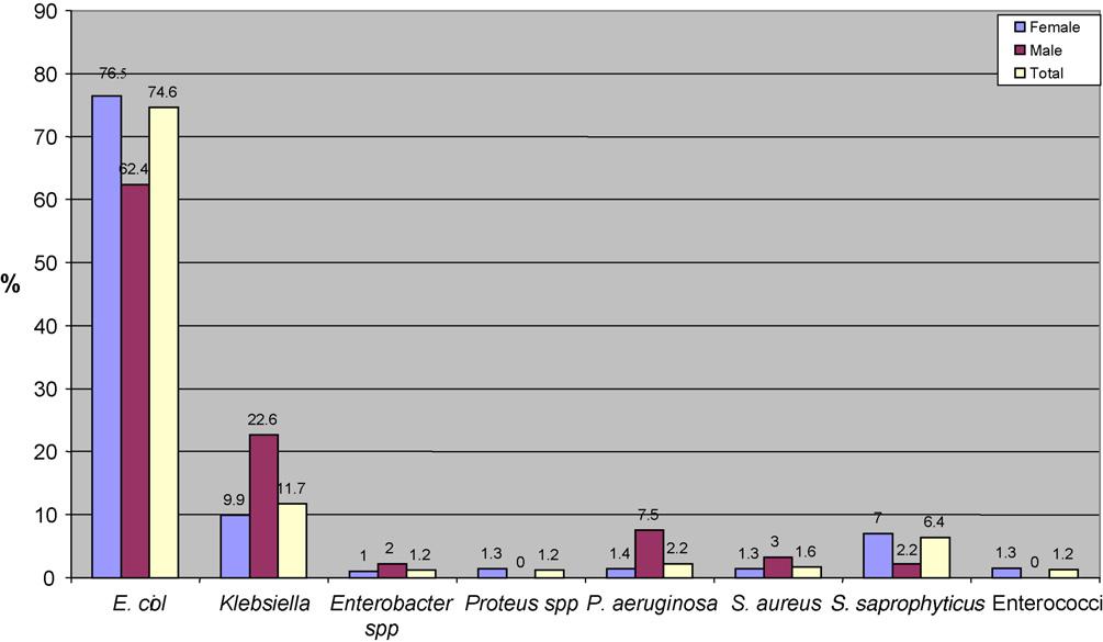 Urinary tract infections in the northwest of Iran 141 Figure 1 Frequency of isolated bacteria from positive urine samples according to patient gender.