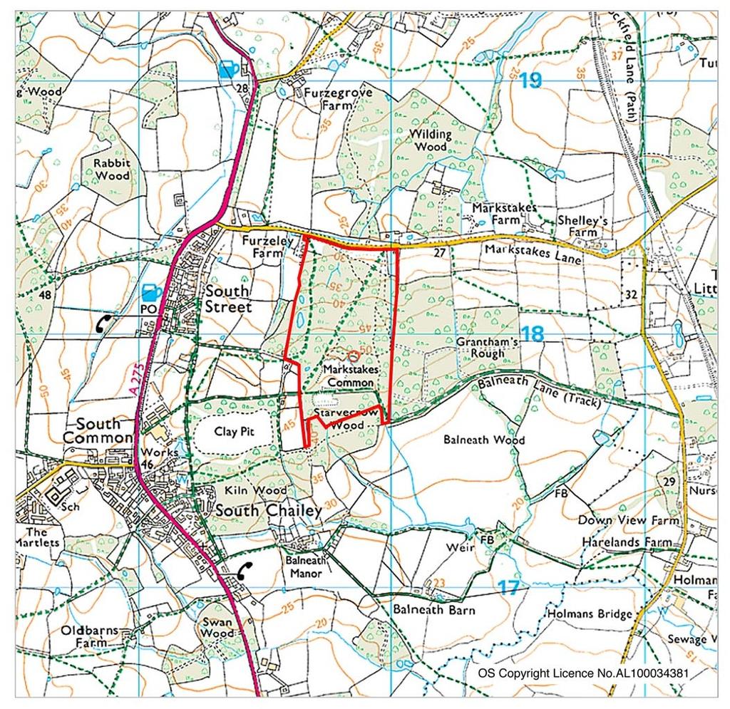 1.0 Introduction This study was commissioned by Lewes District Council to establish the distribution of reptiles at Markstakes Common SNCI near Chailey, West Sussex.