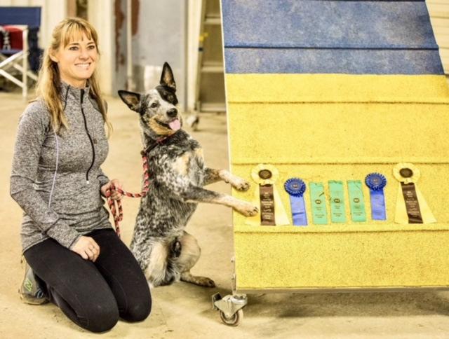 Marilyn Epley converted Savannah s Do More With Your Dog Novice Trick dog to an AKC Novice Trick Dog Title.
