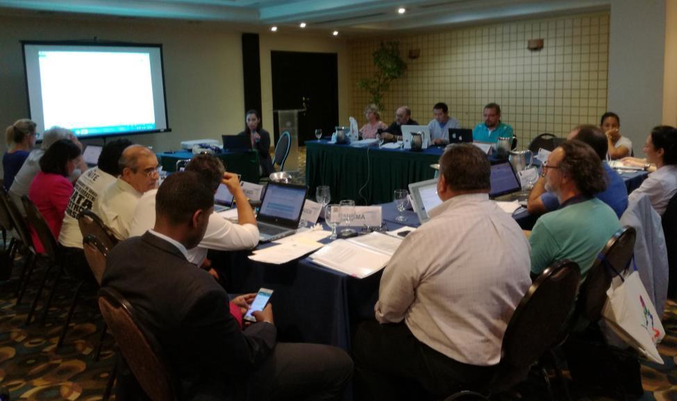 Discussion to update the 14th IAC Scientific Committee Work Plan