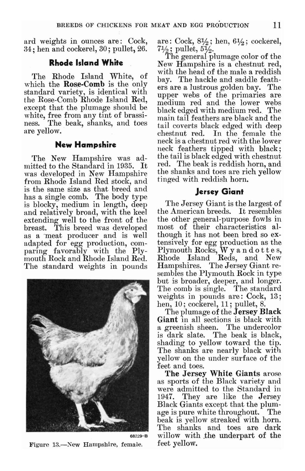 BREEDS OF CHICKENS FOR MEAT AND EGG PRO'DUCTION 11 ard weights in ounces are: Cock, 34; hen and cockerel, 30; pullet, 26. Rhode Island White The Rhode Island White, of which the Ros.
