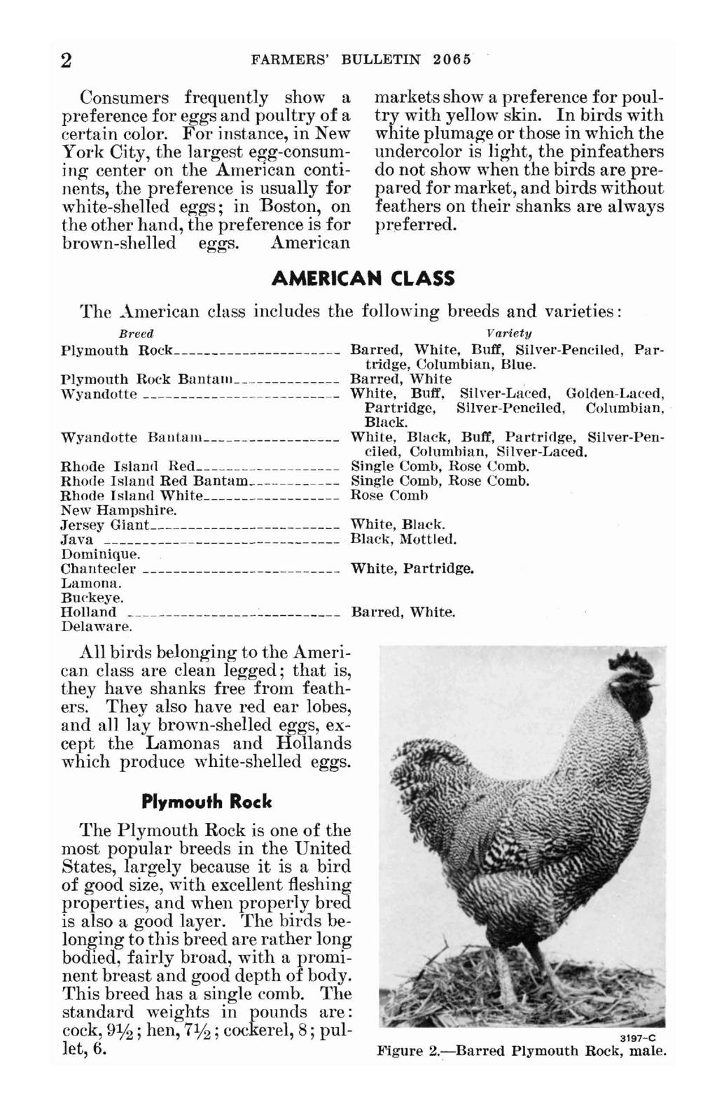 2 FARMERS' BULLETIN 2065 Consumers frequently show a preference for eggs and poultry of a eertain color.