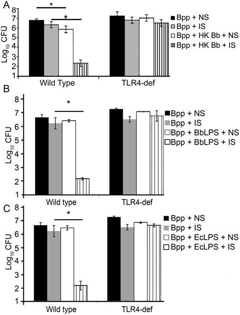 Figure 7. Effect of TLR4 stimulation on the rapid antibodymediated clearance of B. parapertussis. (A) Groups of wild type (C3H/HEOuJ) and TLR4-deficient (C3H/HEJ) mice were inoculated with B.