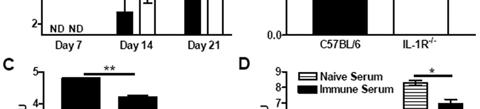 5.5). These data indicate that BMMs from IL-1R -/- mice are similarly efficient in killing B. pertussis compared to wild-type BMMs.