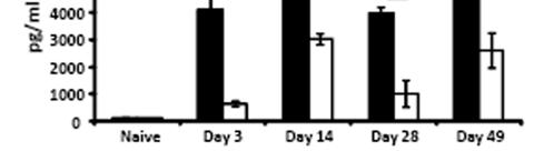 122 To examine whether IL-6 contributes to the generation of B. pertussis-specific T cell responses, splenocytes were collected from C57BL/6 and IL-6 -/- mice on various days post-b.