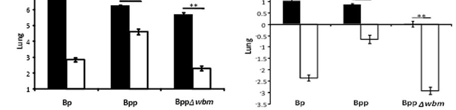 parapertussis strain lacking O-antigen (BppΔwbm). In comparison to naïve mice, wp treatment reduced B. pertussis numbers by 91.9%, 97.8% and >99.