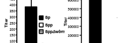 The dashed line indicates the limit of detection. serum antibodies from ap, adjuvant only, wp vaccinated or naïve mice.