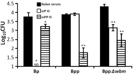 52 antibody-mediated clearance in vivo. Serum from naïve (NS), wp- or wpp-vaccinated mice were transferred to naïve animals. Bacterial loads in the lungs were determined on day 14 post B.