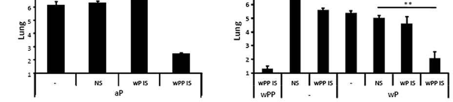 The limit of detection is indicated as the lower limit of the y axis. not sufficient to clear B. parapertussis because O-antigen protects B. parapertussis from wp-induced antibodies.