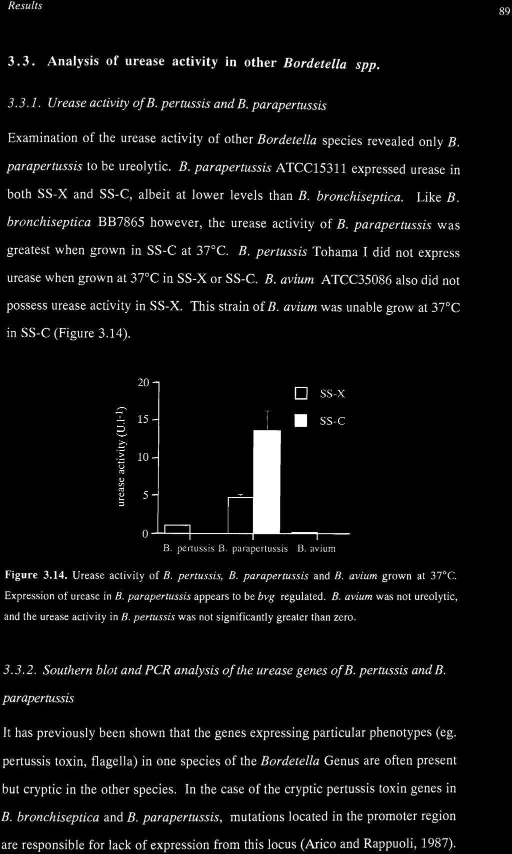 bronchiseptica. Like B. bronchiseptica BB7865 however, the urease activity of B. parapertussis was greatest when grown in SS-C at 37 C. B. pertussis Tohama I did not express urease when grown at 37 C in SS-X or SS-C.