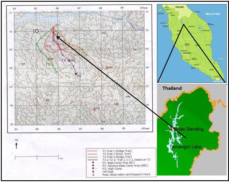 Materials and Methods Study area The Sungai Enam base camp (5 30.65'N 101 27.79'E),with an elevation of 450m a.s.l., is located at Sungai Enam, a small, 4 km long tributary of the Singor River, which then flows into Temengor Reservoir (Fig.