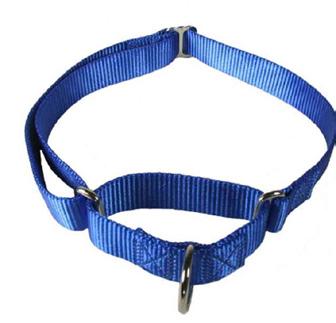 Collars, harnesses and leashes 57 The day that I saw a frightened German shepherd back out of her standard buckle collar in a pet store, run head-long for the front of the store, and fly out through