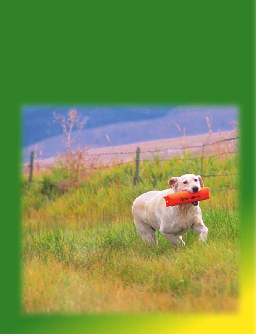 8 Display ACCESSORIES FOR SPORTING DOGS 2004 EDITION 12 Display