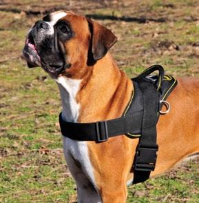 Black DT WORKS is an ideal harness for working breeds involved in Search & Rescue, Guard, Patrol, Service and Therapy programs.