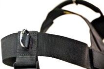 Pulling harnesses are useful for exercising, tracking, sledding, etc Features: Removable