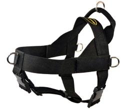 on chest strap, 1 on handle, two on backs straps,.