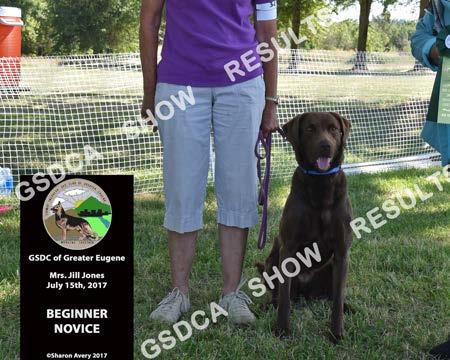 GSDC of Greater Eugene All Breed Obedience, July 15 th 2017 34 197 Flying D's Splash of Camas TD RN, SR81659307, 3/5/2014 bitch, Chesapeake Bay Retriever, Breeder: Dean & Sally Diess By: New Hope's