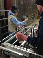 The aim of RamCompare is to enable the UK sheep industry to drive genetic improvement forward through the inclusion of commercial data in genetic evaluations.