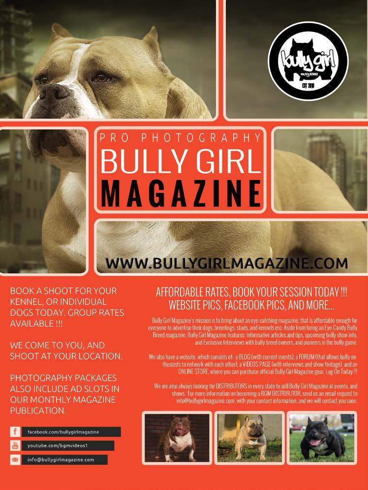 Bully Girl Magazine, LLC OWNER / FOUNDER LeVar D. Carter OWNER / VP of SOCIAL MEDIA Jennifer M. Carter VP of CLOTHING DESIGN Gwendolyn M. Carter PHOTO RETOUCHING LeVar D.