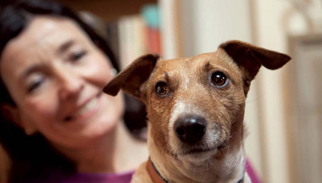 Could you offer a rescue animal a kind new home? Rehoming an animal from the RSPCA would be a great act of kindness, which could change an animal s life forever.