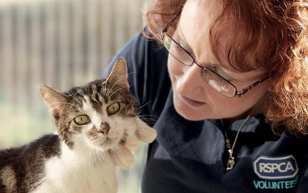 Volunteering and fundraising Could you be an RSPCA volunteer? We are always on the lookout for kind volunteers who can give a little time to help out in a number of practical ways.