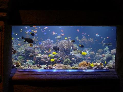 York Aquarium in Coney Island, Brooklyn, New York.