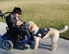 Individual s disability may be Physical
