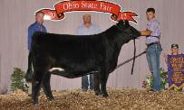 Bred to calve 2/17 to Monopoly PE 6/21-8/10 to Adrenaline Whoa, this is one great bovine!