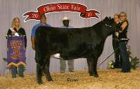 Skye Schumaker Show Stock, Pearl 464S has been a amazing performer since came here as the top-selling cow of the 2011 Holiday Classic Sale.