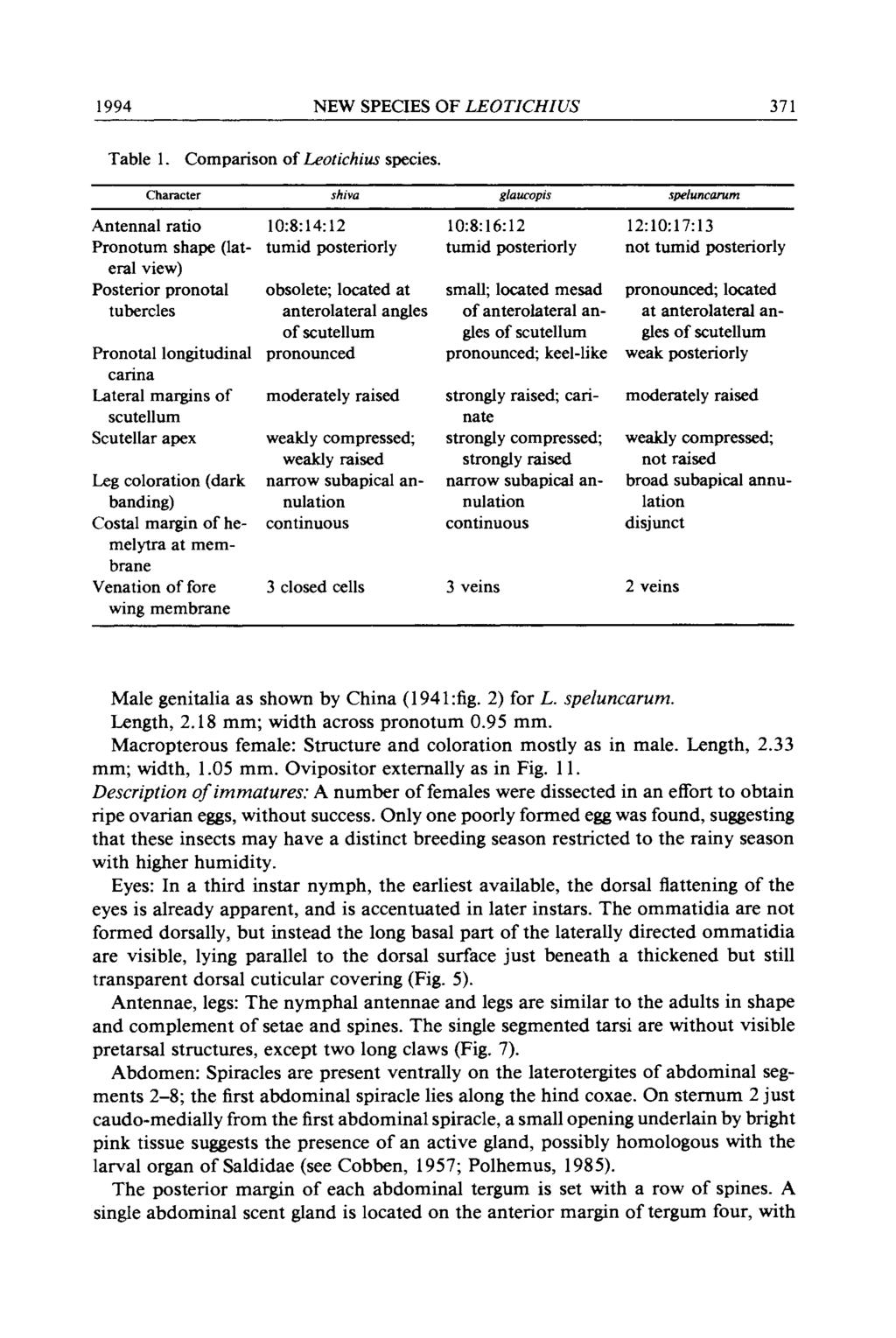 1994 NEW SPECIES OF LEOTICHIUS 371 Table 1. Comparison of Leotichius species.