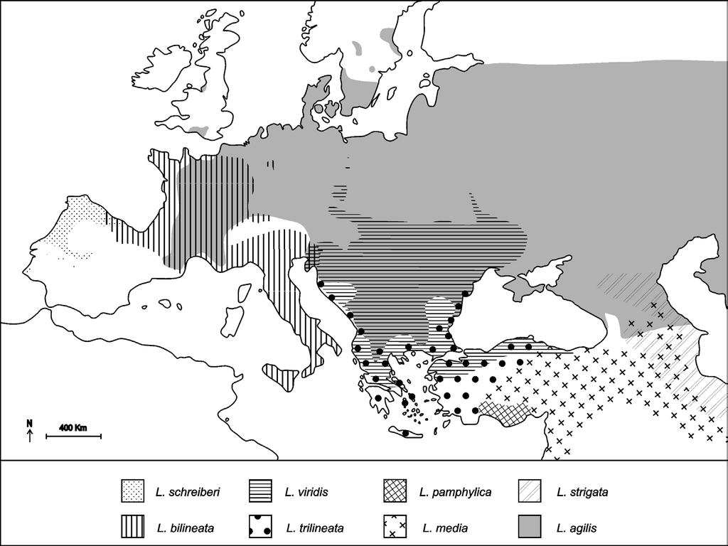 272 R. Godinho, E.G. Crespo, N. Ferrand, D.J. Harris Figure 1. Map showing the distribution of green lizard species in Europe and Western Asia (adapted from Gasc et al., 1998 and Nettmann, 2001).