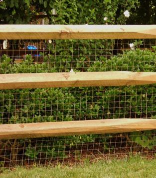 areas Available in a variety of styles and colours Can be combined with planting to reduce visual prominence of fencing Chain Link Fencing Relatively Inexpensive Durable Available in galvanized