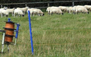 Temporary Electric Fencing Osen used to control grazing on irrigated pasture, in sensigve areas, etc.