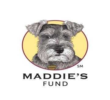 Maddie s Shelter Medicine Program 2015 SW 16 th Avenue College of Veterinary Medicine PO Box 100126 Gainesville, FL 32610 352-273-8660 352-392-6125 Fax Overview Feline Respiratory Infections in