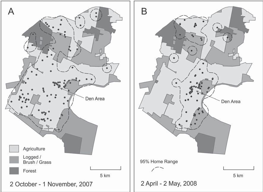 2010 J. Chadwick, B. Fazio, and M. Karlin 309 Home-range size Home-range areas for all collected GPS data (11 18 months) for each Wolf were 118.3 km 2 for 11301M, 81.6 km 2 for 11333M, 149.