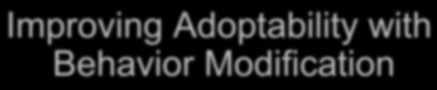 Improving Adoptability with