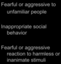 Behavior Problems Associated with Inadequate Socialization Fearful or aggressive to unfamiliar people Inappropriate social behavior