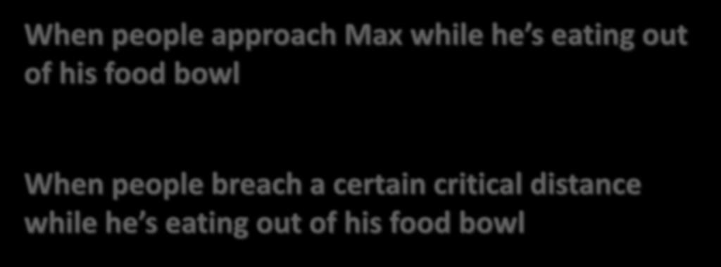 Max s Antecedents When people approach Max while he s eating out of his food bowl OR