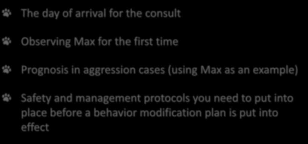 Part 2 The day of arrival for the consult Observing Max for the first time Prognosis in aggression cases (using Max as an